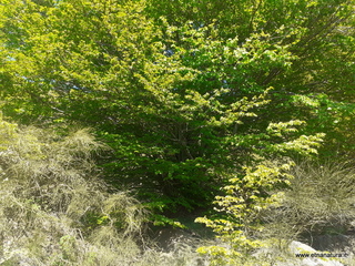 qua Rocca15-05-2022 10-06-35